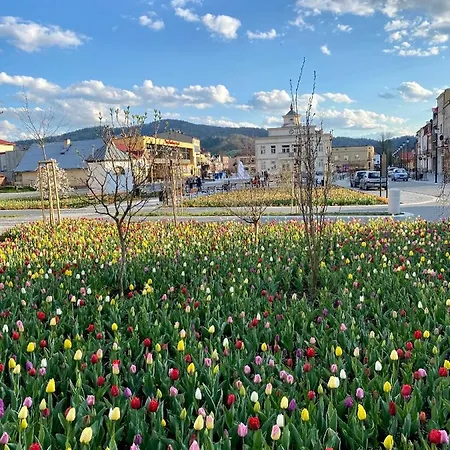 Daire Apartament Muszyna *
