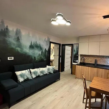 Apartament Muszyna